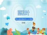 小学科学四年级下茎和叶ppt