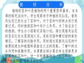 小学科学四年级下茎和叶ppt