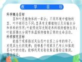 小学科学四年级下茎和叶ppt