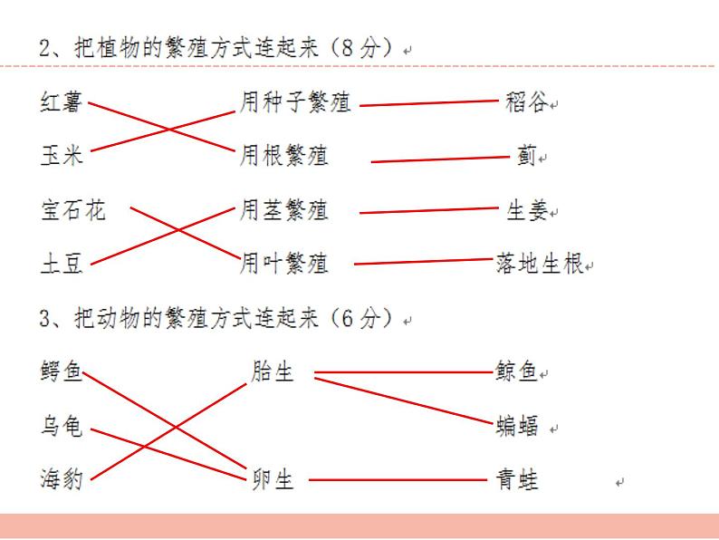 苏教版小学科学四年级下册第四单元【繁殖】检测题答案课件PPT08