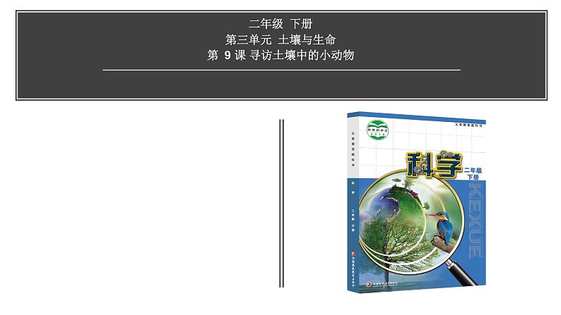 苏教版科学二年级下册 9.寻访土壤中的小动物 课件01