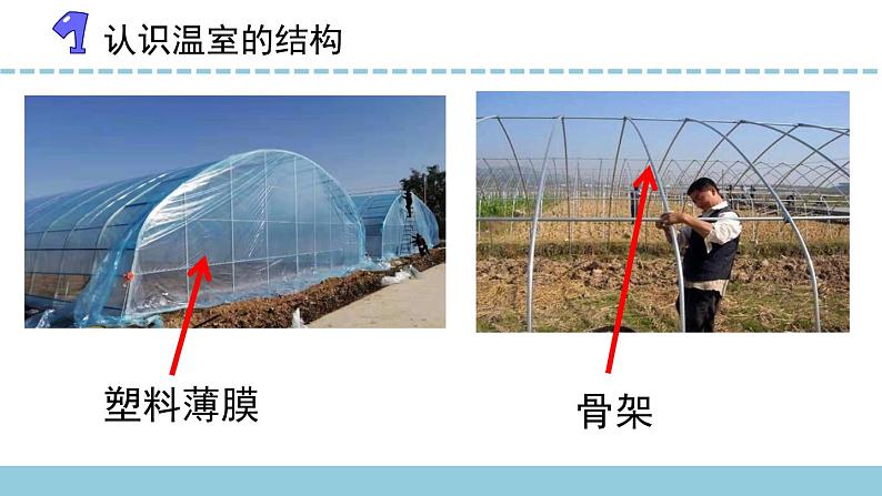 苏教版科学二年级下册 12.做个小温室 课件06