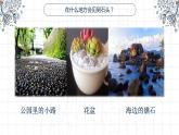 蘇教版科學一年級下冊 1.石頭 課件