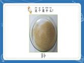 蘇教版科學(xué)一年級(jí)下冊(cè) 3.沙子與黏土 課件