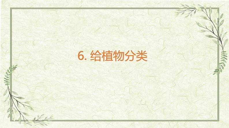 《6给植物分类》（课件）01