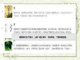 7.《動物行為與環(huán)境變化》課件