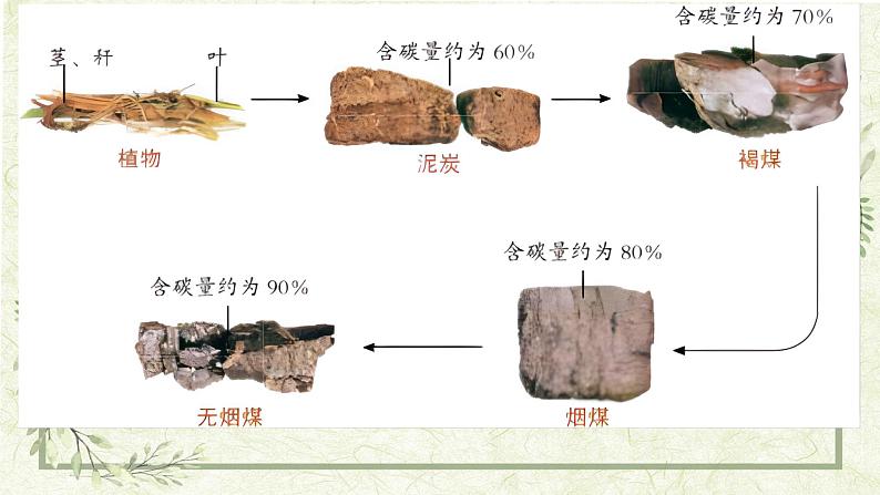 《能源的开发与利用》课件第3页