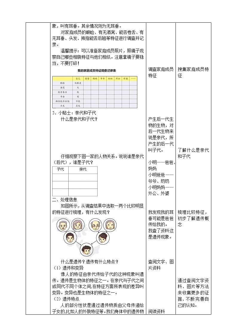 大象版六上科学 4.1《我像谁》课件+教案02
