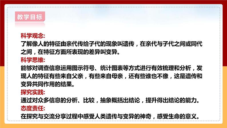 大象版六上科学 4.1《我像谁》课件+教案02