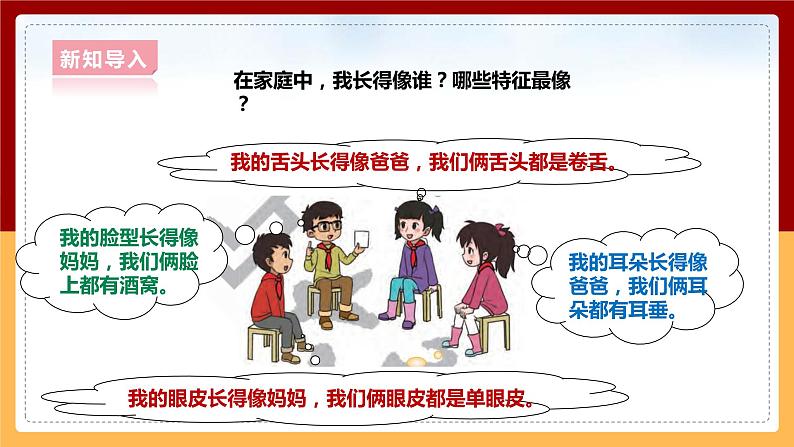 大象版六上科学 4.1《我像谁》课件+教案04