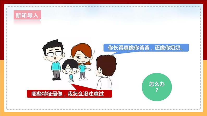 大象版六上科学 4.1《我像谁》课件+教案05