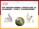 大象版六上科学 4.2《动物的遗传和变异》课件+教案