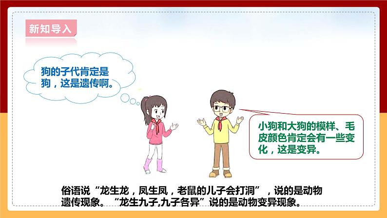 大象版六上科学 4.2《动物的遗传和变异》课件+教案04