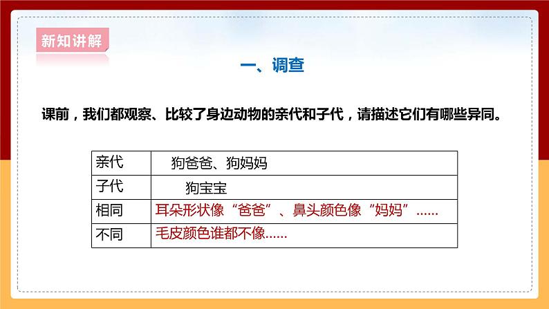 大象版六上科学 4.2《动物的遗传和变异》课件+教案05