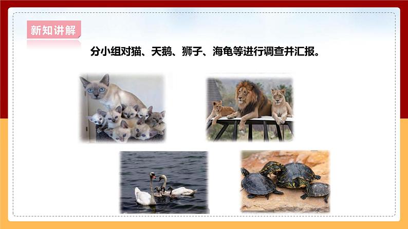 大象版六上科学 4.2《动物的遗传和变异》课件+教案06