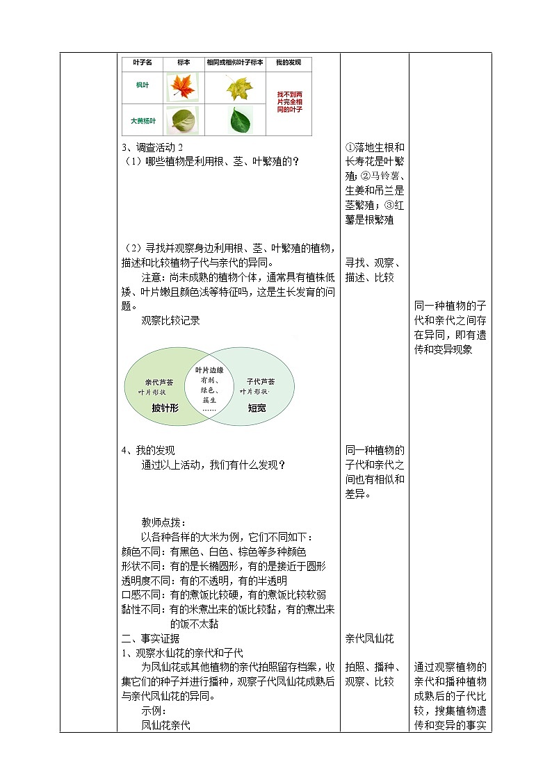 大象版六上科学 4.3《植物的遗传和变异》课件+教案02