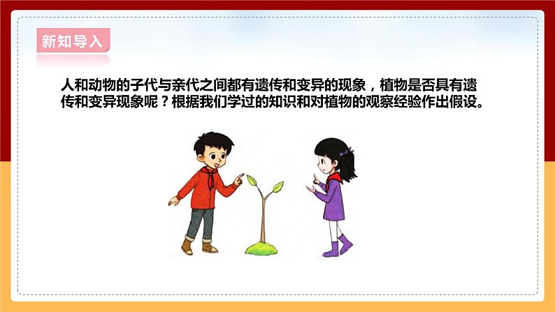 大象版六上科学 4.3《植物的遗传和变异》课件+教案03