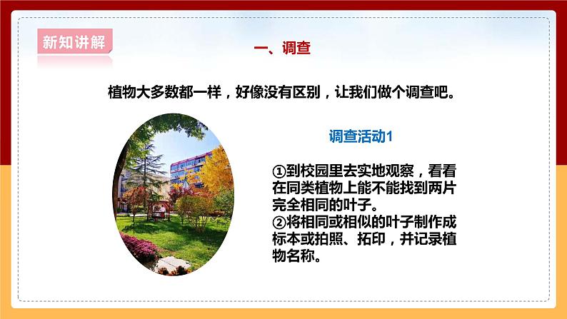 大象版六上科学 4.3《植物的遗传和变异》课件+教案06