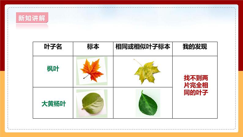 大象版六上科学 4.3《植物的遗传和变异》课件+教案07