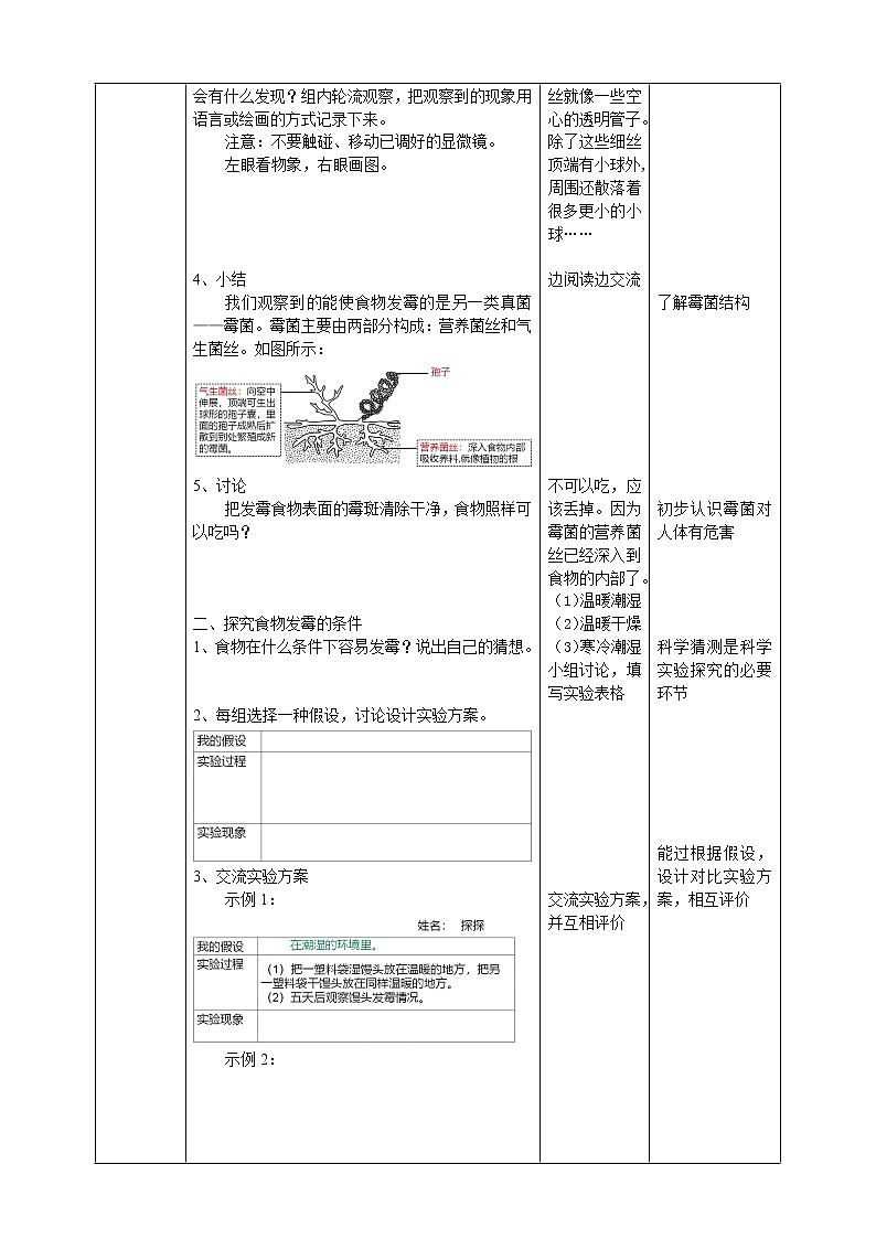 大象版六上科学 1.3《发霉的馒头》课件+教案02