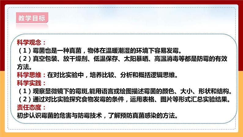 大象版六上科学 1.3《发霉的馒头》课件+教案02