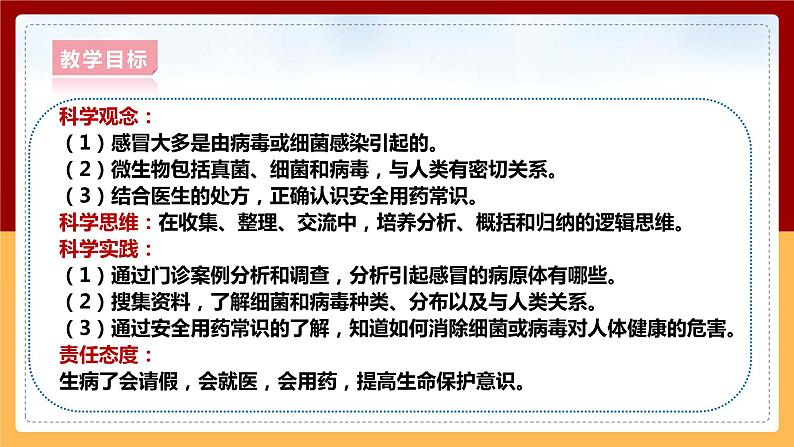 大象版六上科学 1.4《不一样的“感冒”》课件+教案02