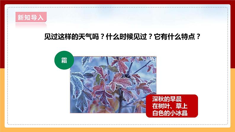 大象版六上科学 2.3《霜和露》课件+教案03