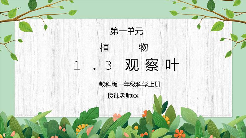 教科版一年级科学上册第一单元《植物-观察叶》PPT课件第1页
