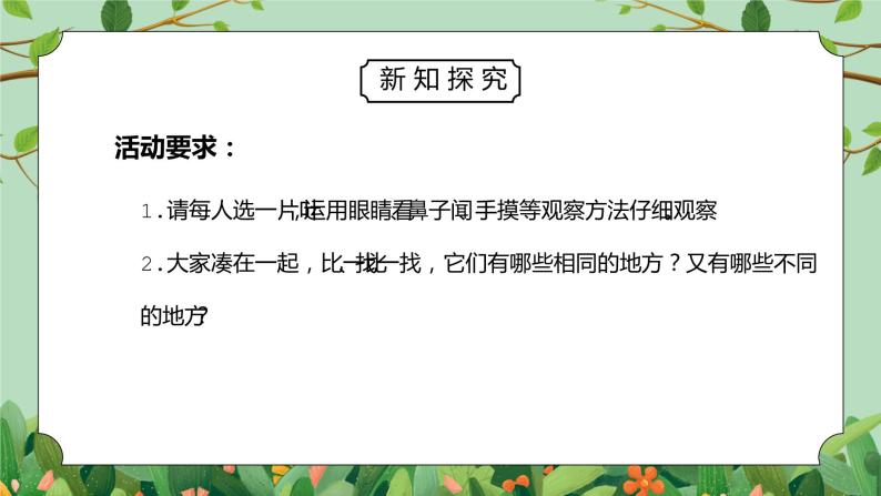 教科版一年级科学上册第一单元《植物-观察叶》PPT课件04