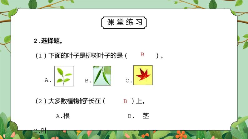 教科版一年级科学上册第一单元《植物-观察叶》PPT课件08