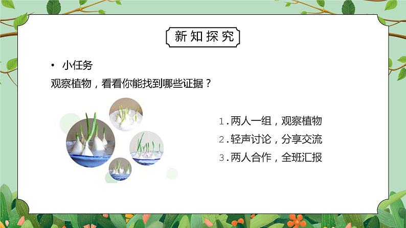 教科版一年级科学上册第一单元《植物-植物是“活”的吗》PPT课件03