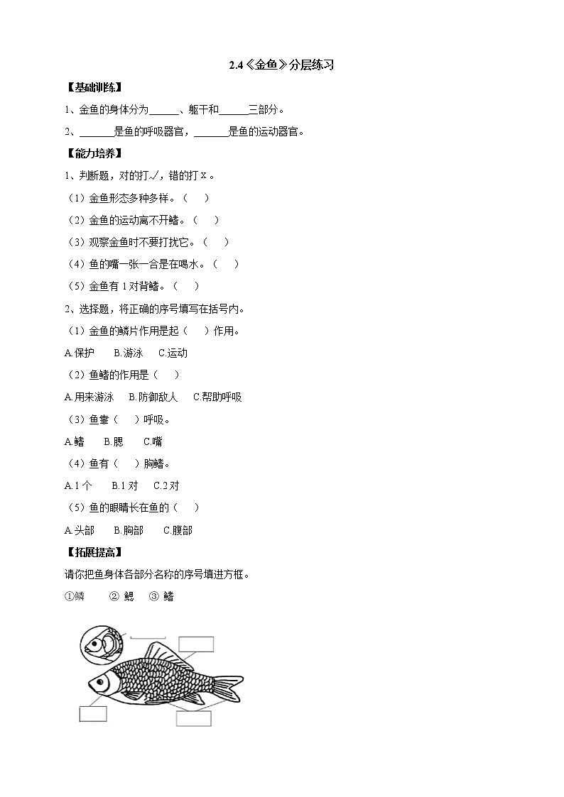 【人教鄂教版】一上科学 2.4《金鱼》（课件+教案+同步练习）01