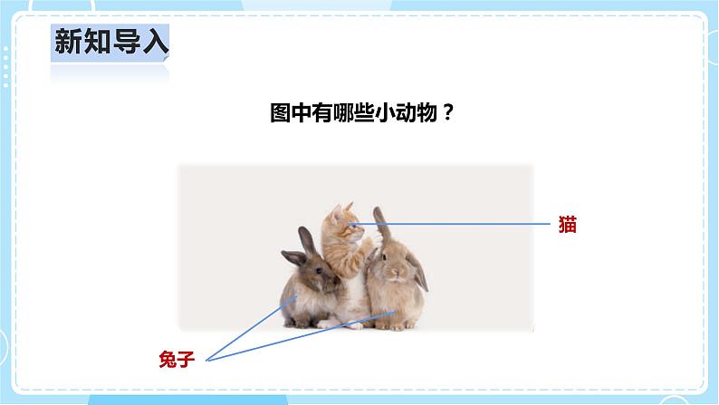 【人教鄂教版】一上科学 2.5《猫和兔》（课件+教案+同步练习）03