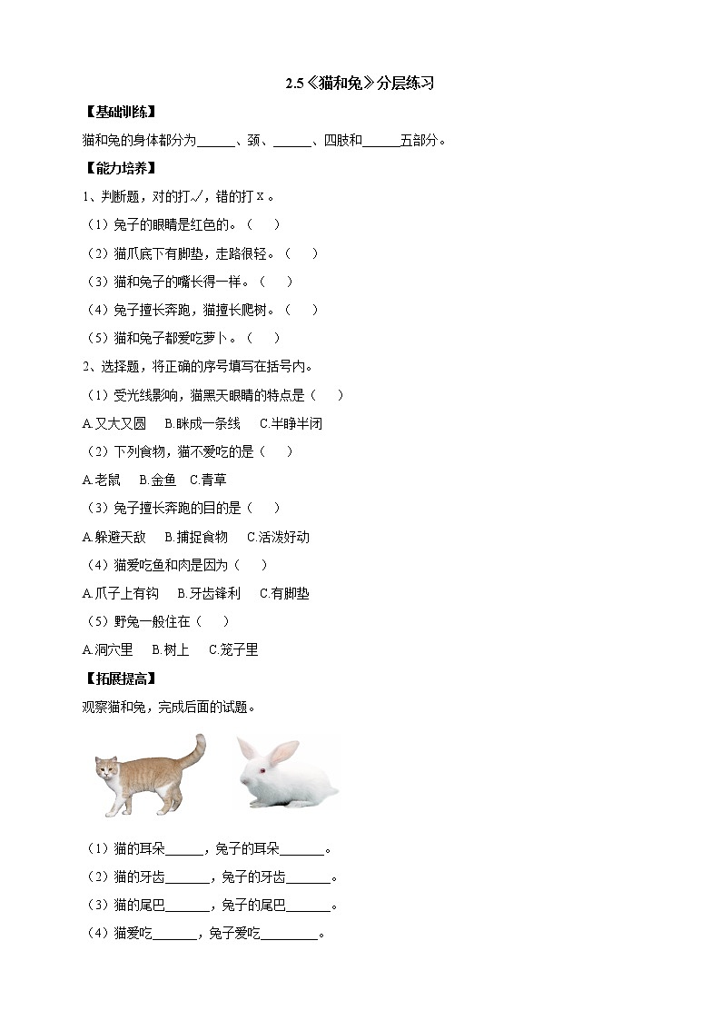 【人教鄂教版】一上科学 2.5《猫和兔》（课件+教案+同步练习）01