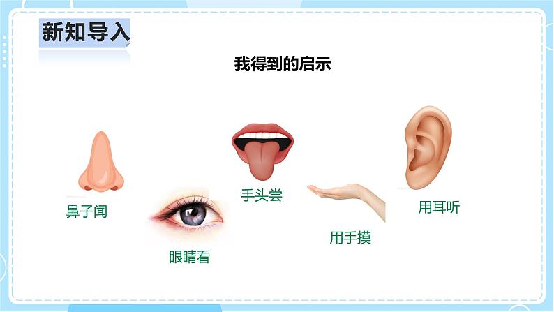 【人教鄂教版】一上科学 1.2《袋子里面有什么》（课件+教案+同步练习）07