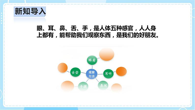 【人教鄂教版】一上科学 1.2《袋子里面有什么》（课件+教案+同步练习）08