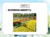 教科版二年级科学上册第一单元《我们的地球家园-动植物的乐园》PPT课件