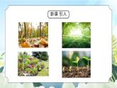 教科版二年级科学上册第一单元《我们的地球家园-动植物的乐园》PPT课件