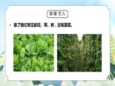 教科版二年级科学上册第一单元《我们的地球家园-动植物的乐园》PPT课件
