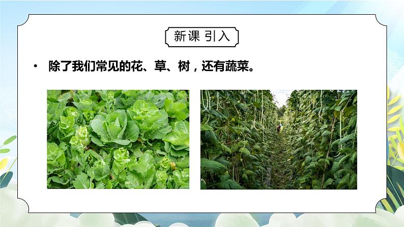 教科版二年级科学上册第一单元《我们的地球家园-动植物的乐园》PPT课件04