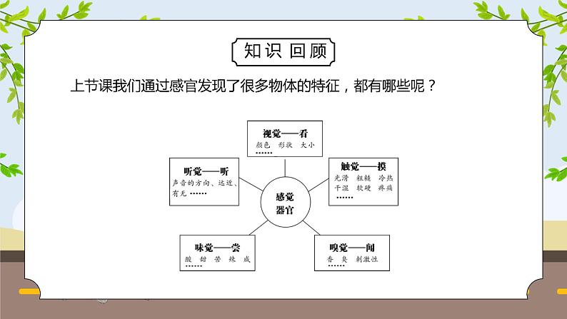 教科版二年级科学下册第二单元《我们自己-观察与比较》PPT课件04
