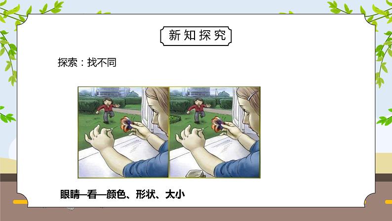 教科版二年级科学下册第二单元《我们自己-观察与比较》PPT课件07