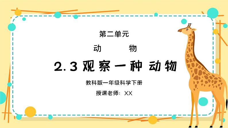 教科版一年级科学下册第二单元《动物-观察一种动物》PPT课件01