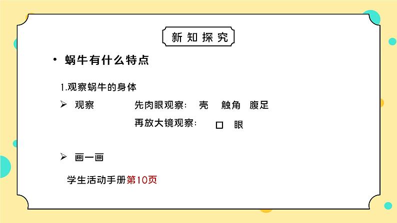 教科版一年级科学下册第二单元《动物-观察一种动物》PPT课件02