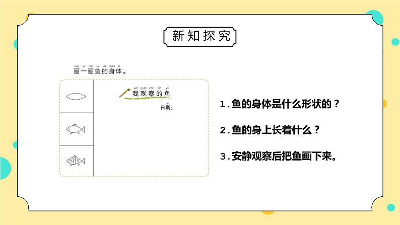 教科版一年级科学下册第二单元《动物-观察鱼》PPT课件第3页