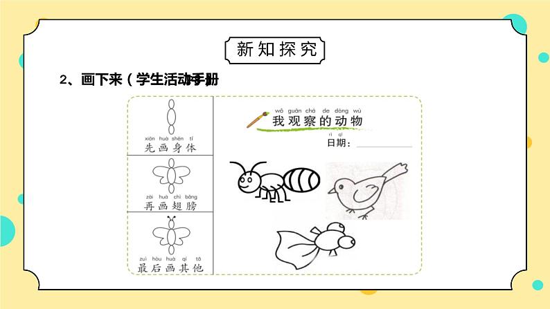 教科版一年级科学下册第二单元《动物-我们知道的动物》PPT课件04