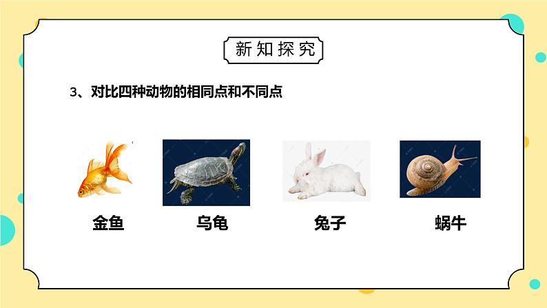 教科版一年级科学下册第二单元《动物-我们知道的动物》PPT课件05