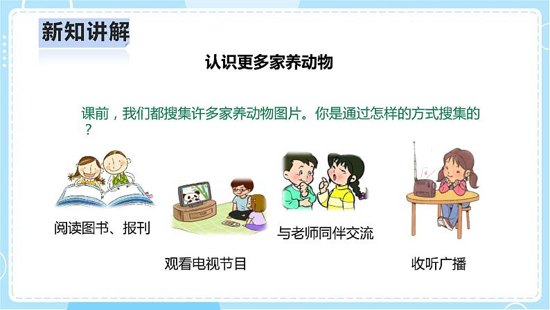 【人教鄂教版】一上科学 2.6《常见的家养动物》（课件+教案+同步练习）06