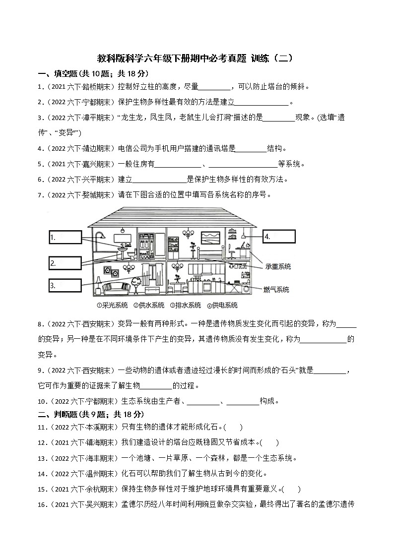 教科版科学六年级下册期中必考真题 训练（二）01