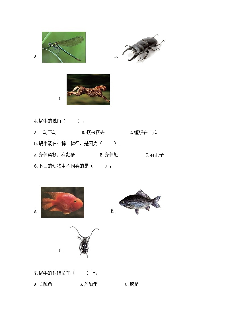 教科版科学一年级下册第二单元《动物》测试卷第2页